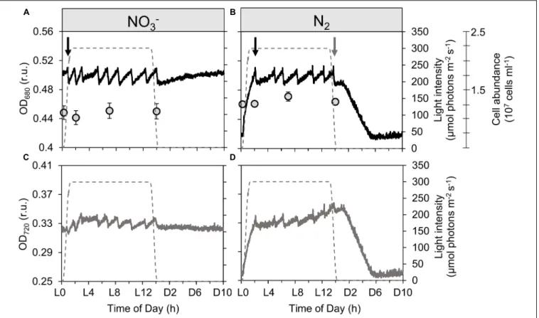 FIGURE 1 | Record of dynamics in optical density measured at 680 nm [black lines; OD 680 , (A,B)] and 720 nm [gray lines; OD 720 , (C,D)] together with cell abundance [gray circles; (A,B)] of Cyanothece turbidostat cultures cultivated in ASP 2 medium suppl