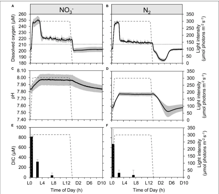 FIGURE 2 | Dynamics of dissolved oxygen (A,B), pH (C,D), and dissolved inorganic carbon [DIC, (E,F)] in continuous Cyanothece cultures grown in ASP 2 medium either supplemented with NO 3 − (A,C,E) or not (B,D,F), throughout the daily 14h/10h light/dark cyc