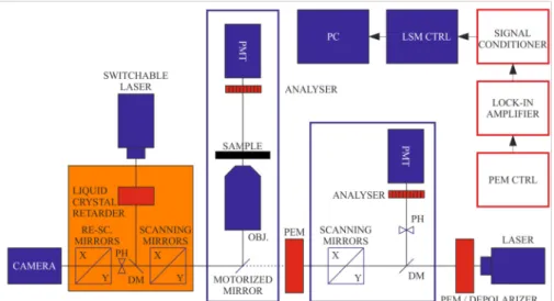 Figure 1. Schematics of the combined set-up of DP-LSM and DP-RCM, using a common platform of an inverted fluorescence microscope