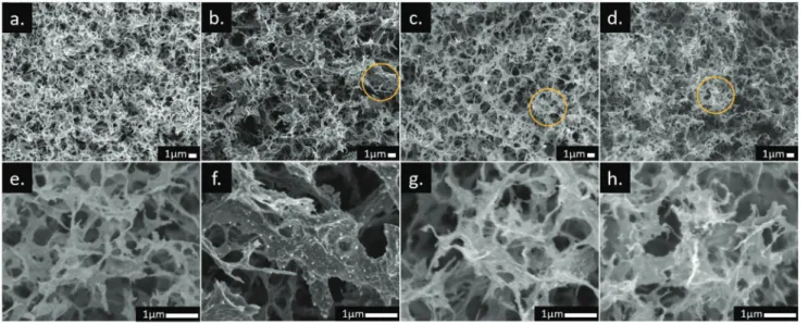 Figure 4.  SEM-EDX elemental mapping of a) CA-Pd20, b) CA-Pd40, and c) CA-Pd80. The upper row images correspond to the scanned surface to  obtain the shown maps.