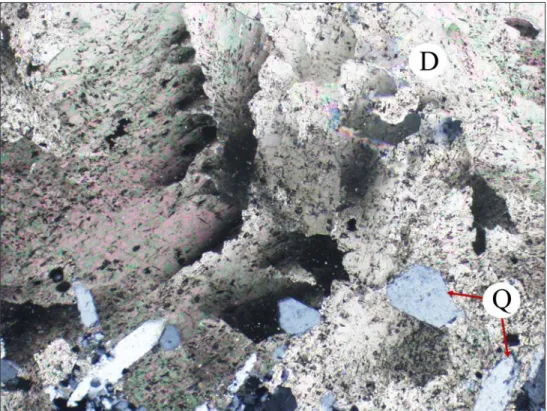 3. ábra: Görbült lapú dolomit (D) és sajátalakú kvarc (Q) polarizációs mikroszkópi képe  (keresztezett nikolok)