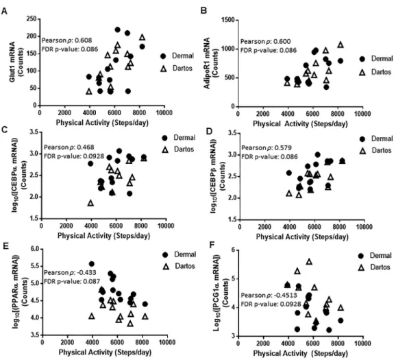 Fig. 1. Glut1 (A), AdipoR1 (B), CEBPa (C), CEBPb (D), PPARa (E), and PGC1a (F) mRNA expression correlated to average maternal steps per day in dermal and dartos tissues of the foreskin