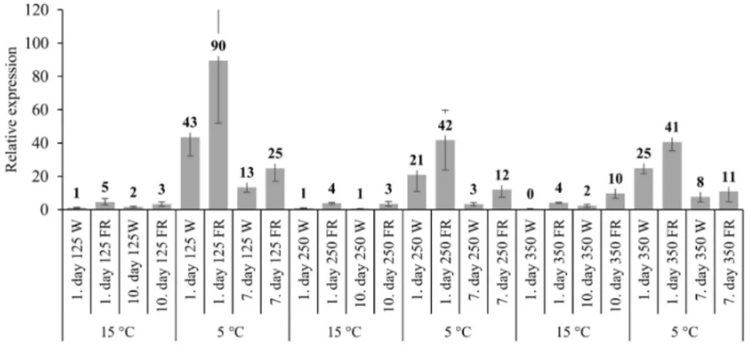 Figure 1. The expression pattern of the HvCBF14 gene with white light and low R:FR illumination