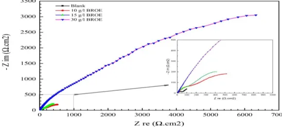 Figure 4. Nyquist plot for Tin in 0.2 M Maleic acid with and without different concentrations of BROE