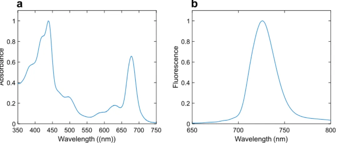 Fig. 2    Absorption and  fluorescence spectra of isolated  tetrameric PSI form Anabaena