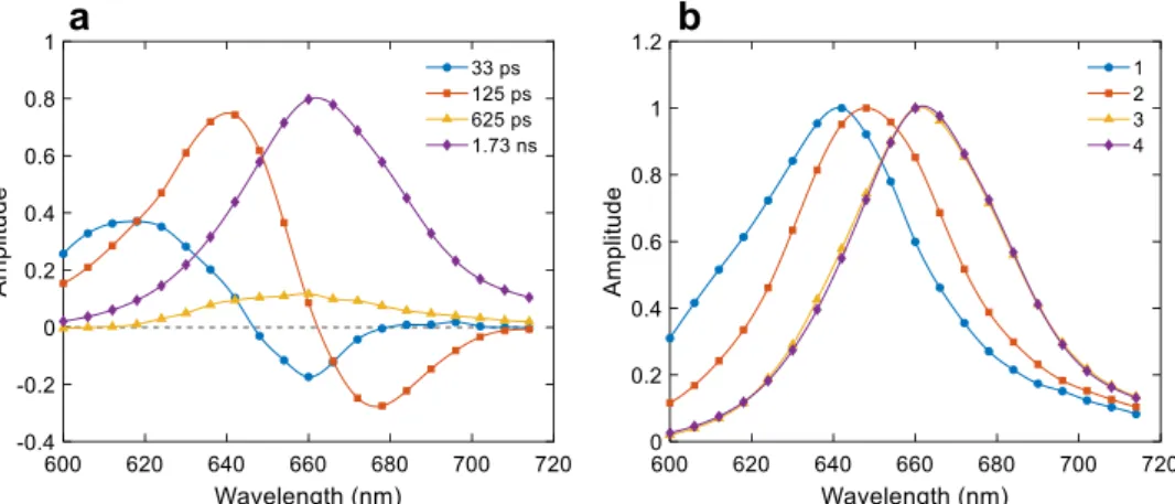 Fig. 6    Global lifetime analysis  of the time-resolved  fluo-rescence kinetics of isolated  PBS with 580 nm excitation