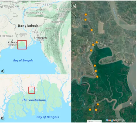 Fig. 1. Location of the study area and the position of individual sites. Location of the Sundarbans mangrove forest in Bangladesh (A.) and location of our study area at the inland edge of the mangrove forest (B.)