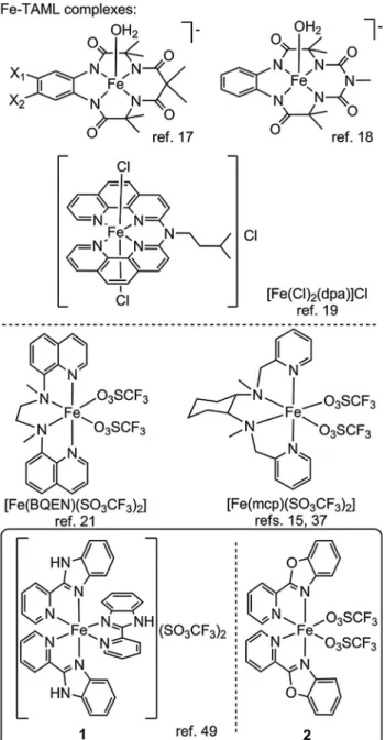 Fig. 1. Selected representatives of single-site molecular Fe catalysts for water oxidation and the complexes applied in this study.