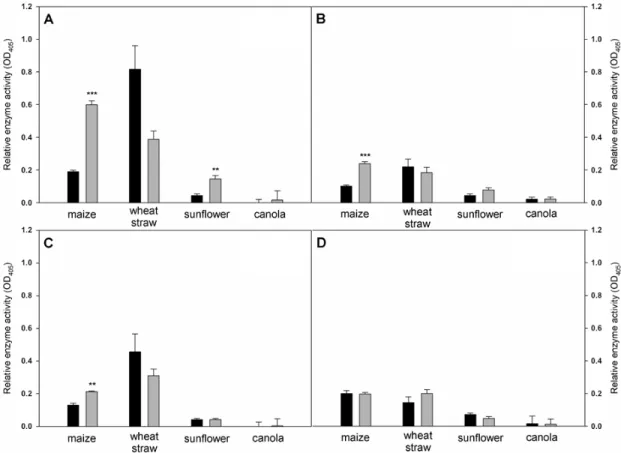 Figure 8. Changes in the content of chlorophyll a + b (A) and carotenoids (B) in the leaves of tomato  plants 6 weeks after treatment with T. asperellum SZMC 20786 (mean + SE, n = 5). ns: not significant. 