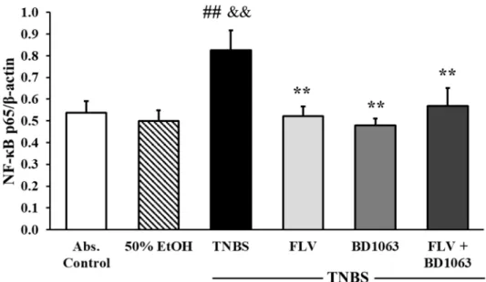 Figure 9. Effects of sigma-1 receptor (σ1R) agonist and antagonist on the expression of NF-κB p65  subunit