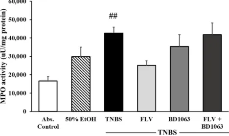 Figure 3. Alteration of the expression of sigma-1 receptor (σ1R) by the administration of the agonist and antagonist