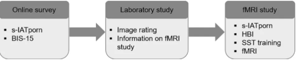 Fig. 1. Screening procedure for fMRI study. The fMRI study was the last part of a large scale study which aimed to investigate the role of impulsivity, inhibitory control, and craving in the context of problematic IP use