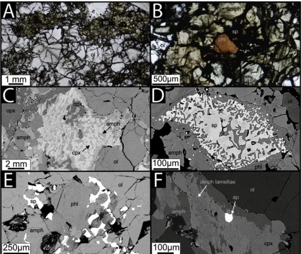 Fig. 4. Petrography of the Group-3 Styrian Basin xenoliths. A: Texture of the GN1407 harzburgite