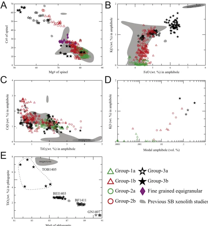 Fig. 6. Scatter plots of the major element content of the rock-forming minerals in Styrian Basin xenoliths