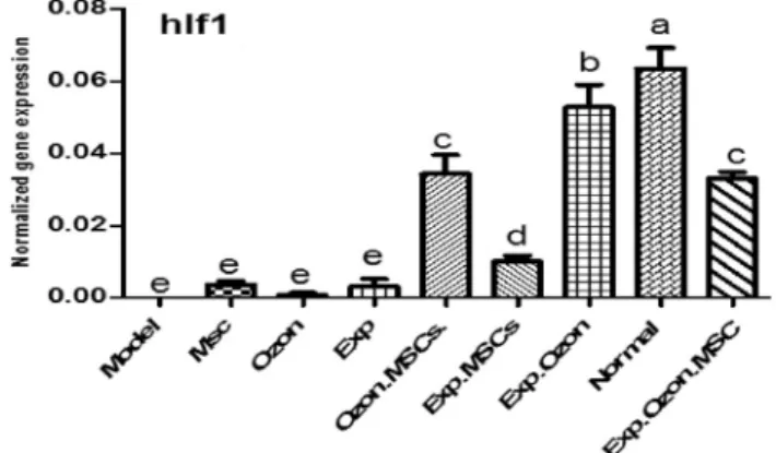 Fig. 2. Comparison of the mean mRNA levels of HIF. Gene expression was detected by Real-Time PCR.