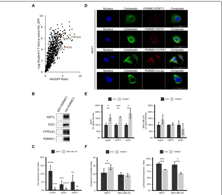 Fig. 2 a Scatter plot of proteins with significantly higher intensities in PGRMC1-HA samples compared to PGRMC1-GFP samples identified by mass spectrometry