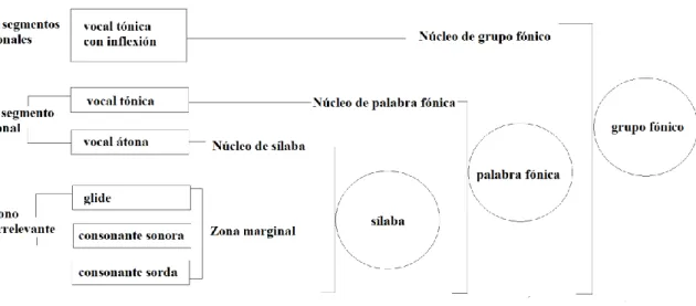 Figura 3.1 La jerarquía fónica basada en Cantero (2002: 102) 22