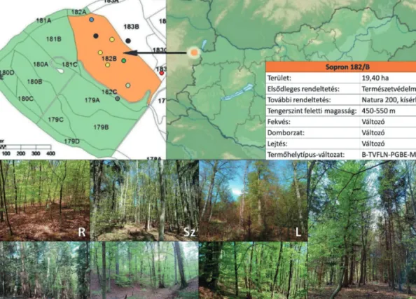 1. ábra: A Roth-féle szálaló erdő (narancssárga, térkép: Molnár 2017), a részlet alapadatai, valamint a csapdázási helyek (világos zöld,  R – rudas; zöld, Sz – szálas; sötétzöld, L – lábas; kék, F – fenyő elegyes; fekete, K1 – kontroll 1; szürke, K2 – kont