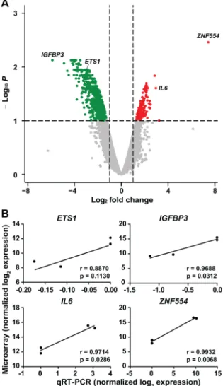 Figure 4. Genome-wide expression changes in U87 glioblastoma cells overexpressing ZNF554