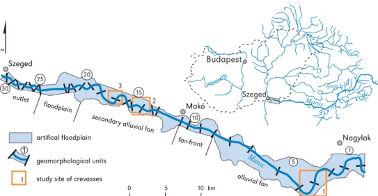 Figure 1. The research was carried out on the floodplain of the Maros River between Nagylak and  Szeged