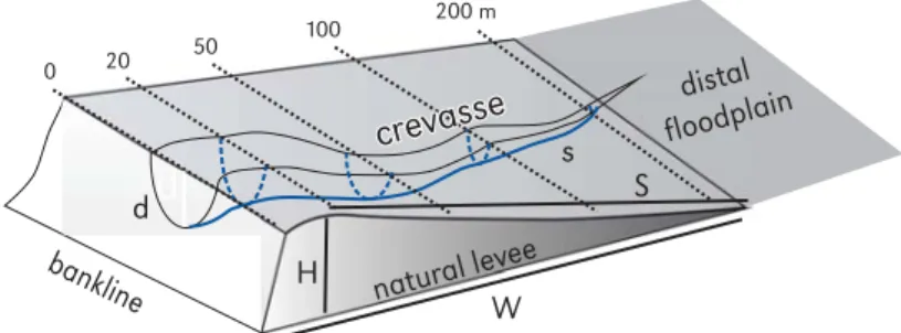Figure 2. Morphometric parameters of natural levees (H: height, W: width, S: slope) and crevasses  (d: depth, s: slope)