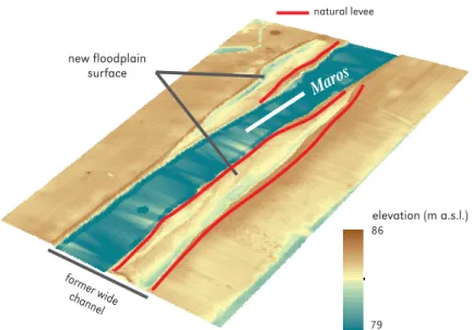 Fig. 4). The lateral shift of the channel along  these sections is inhibited by cohesive bank  material (No