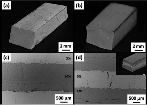 Fig. 2. Light-optical images of the macrostructure of sintered Si 3 N 4 -ZrO 2 /MLG ceramics