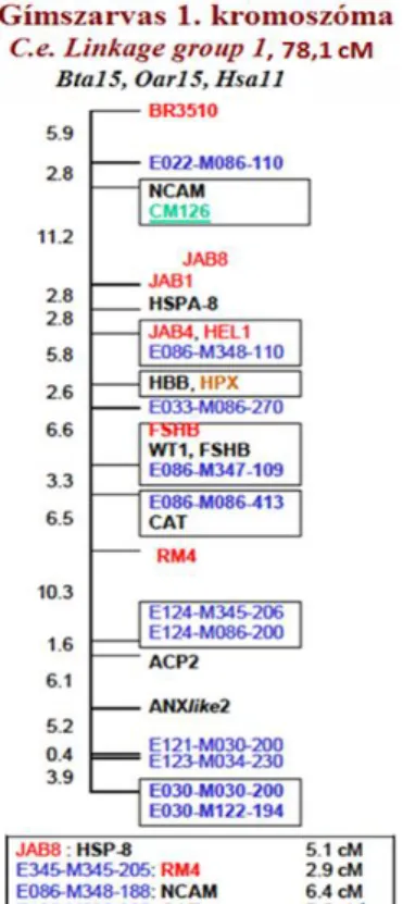 Figure 2. Red deer Linkage Group 1., based on Slate et al., 2002a. 