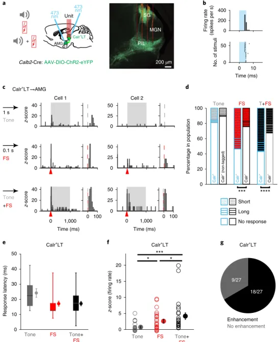 Fig. 2 | Selective and fast aversive cue-associated sensory signaling by calr + Lt cells