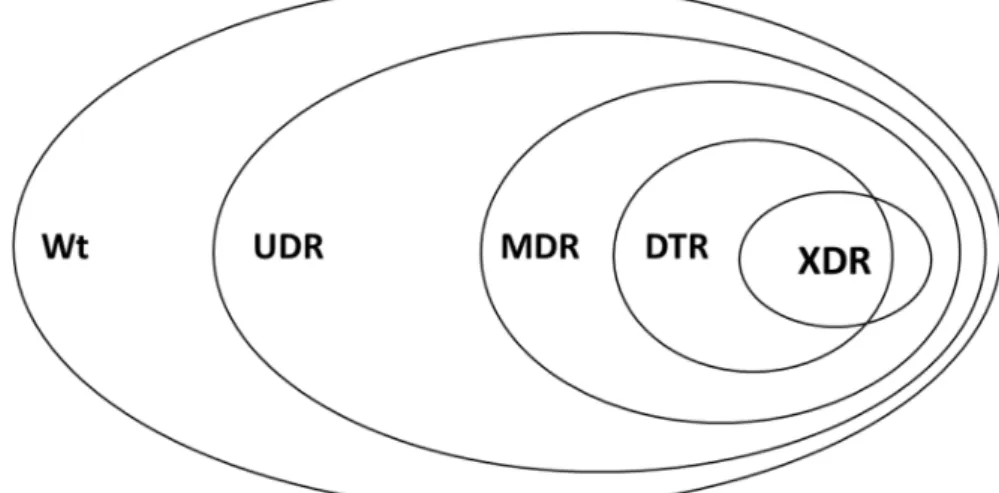 Figure 2. Visual representation of the relationship of various resistance-categories used in this study  Wt: wild-type/susceptible; UDR: usual drug resistance; MDR: multi-drug resistance; XDR: extensive  drug resistance; DTR: difficult-to-treat resistance;