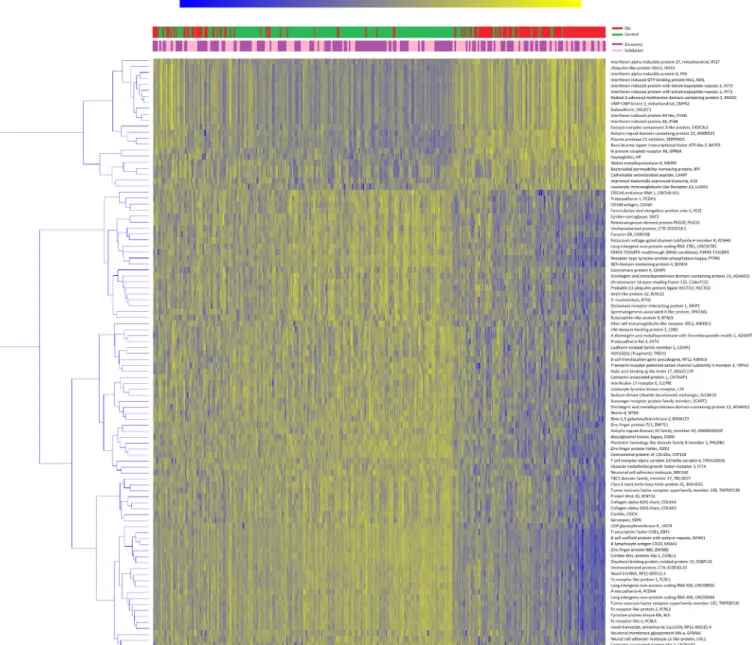 Figure 1  Heatmap of validated genes. Heatmap representation of replicated genes in the discovery (purple) or validation (pink) sets