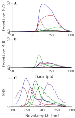 Fig. 9    Estimated kinetic model of the Megacomplex 1 consisting of  PBS-PSII-PSI from simultaneous target analysis of all in  vitro and  in vivo datasets, rates in  ns −1 