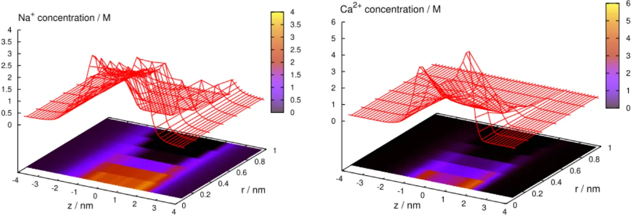 Figure 2. Concentration profiles, c i ( z, r ) , of Na + and Ca 2+ over the ( z, r ) plane for 100 mM NaCl and 1 mM CaCl 2 .