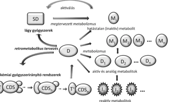 1. ábra A retrometabolikus kettős hurok. Kémiai gyógyszerirányító rendszerek (bal oldal) és lágy gyógyszerek (jobb oldal)