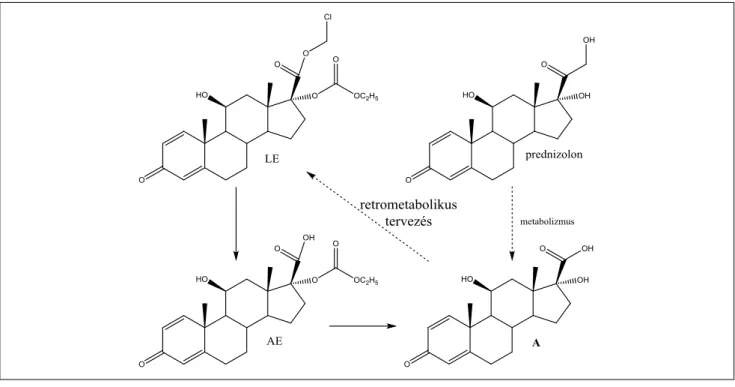 4. ábra A loteprednol-etabonát (LE) formális tervezése a prednizolon metabolitjából és a tervezett, aktuális metabolizmus P = prednizolon; A = Δ1-kortiensav; AE = Δ1-kortiensav-etil-karbonát