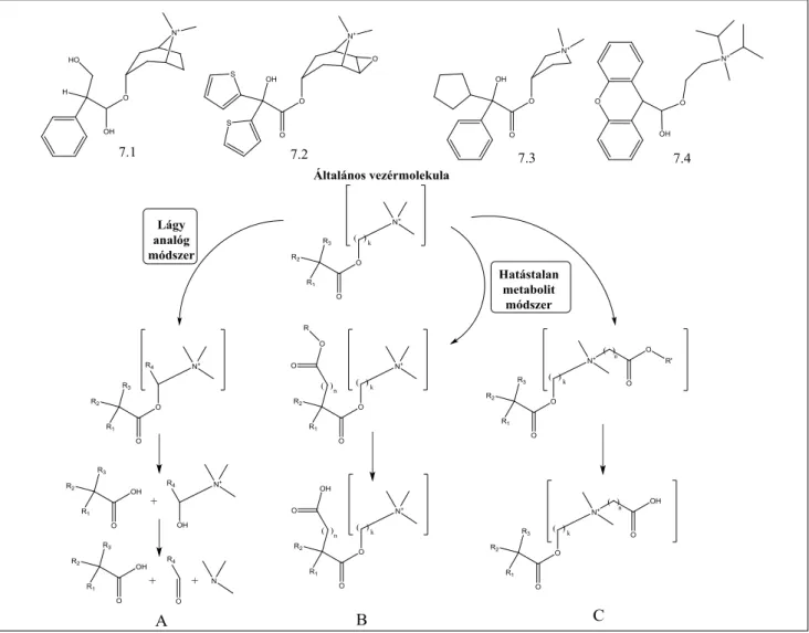 7. ábra A lágy antikolinerg anyagok tervezésének különböző módjai. A felső sorban az ismert kiinduló antikolinergek szerkezete: 7.1 metil-atropin, 7.2