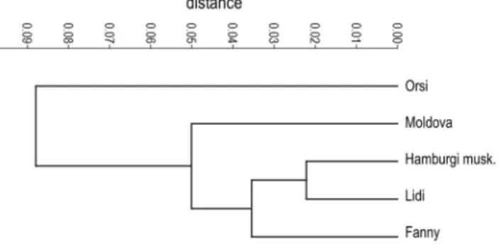 Fig. 5. Hierarchical clustering based on the mean scores of the ﬁrst 6 PCs