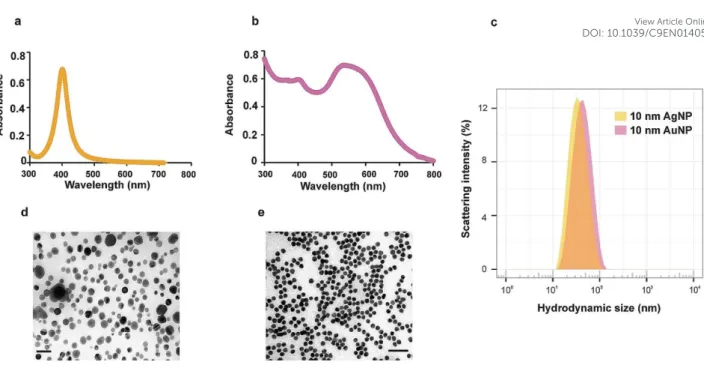 Figure  1.  Colloidal  stability  of  10  nm  AgNP  and  AuNP  under  exposure  conditions