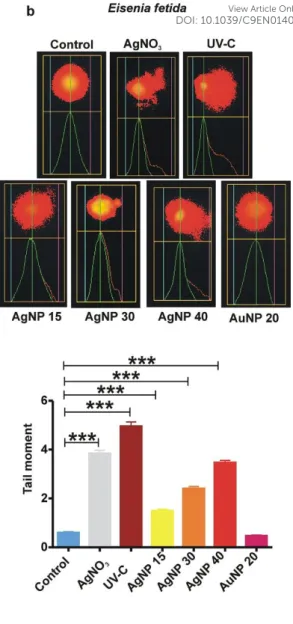 Figure 4. Degree of DNA-damage following 24 h exposure to AgNP, AuNP or AgNO 3  (1.35  µg/mL)