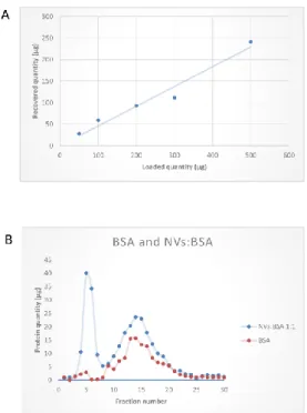 Figure 6. Performance of size-exclusion chromatography (SEC) in the purification of tomato-derived  nanovesicles  (NVs)  isolated  by  differential  ultracentrifugation