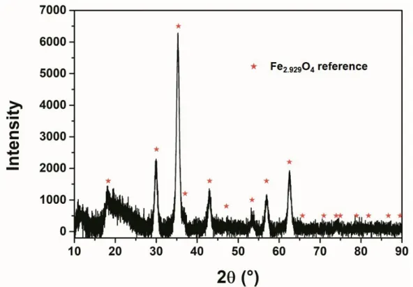 Figure 3. X-ray diffraction (XRD) pattern of the prepared iron oxide MNPs. 