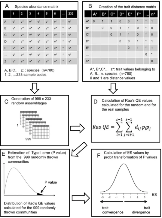 Figure 3.  Main steps of the statistical approach.