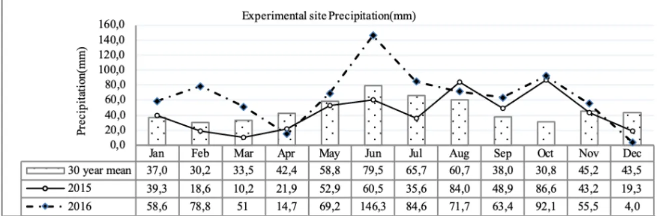 Figure 1. Monthly precipitation for the examined period (mm) (Debrecen 2015-2016).