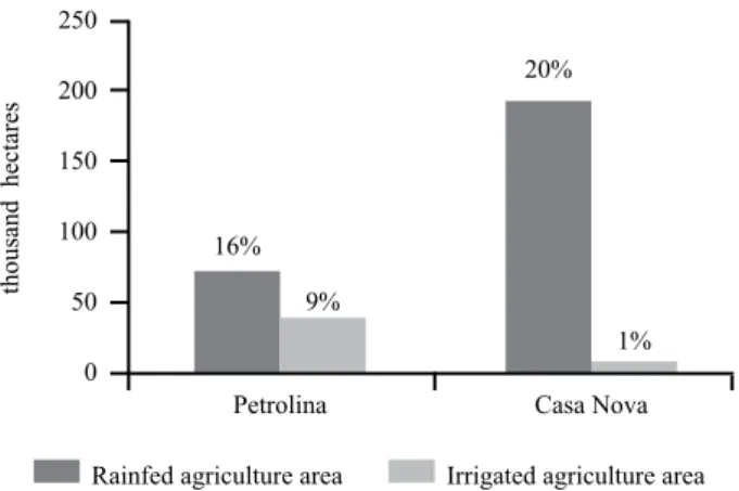 Figure 3: The proportion of food systems’ spatial occupation in  Petrolina and Casa Nova (2017).
