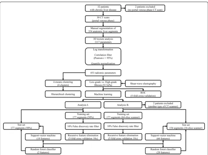 Fig. 2 Flow chart shows the steps of data analysis. We manually highlighted anatomic liver segments on portal venous phase CT scans of patients with chronic liver diseases