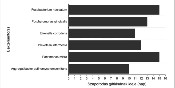 4. kép:  A kísérletben alkalmazott baktériumtörzsekre vonatkozó szaporodásgátlás hossza (nap)