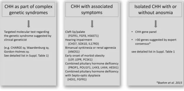 Fig. 1    Genetic testing strategies in CHH (based on Boehm et al. 2015; Stamou and Georgopoulos 2018; Topaloğlu 2018)