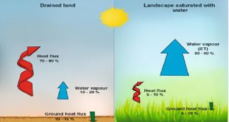 A 3. ábra egy száraz szántóföld és egy nedves rét hőháztartásának a különbségét mutatja  be