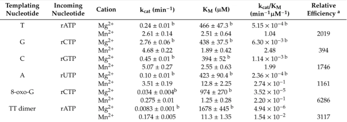 Table 1. Comparison of the kinetic parameters of rNTP incorporation into RNA by Polη using Mg 2+ or Mn 2+ as cofactors.
