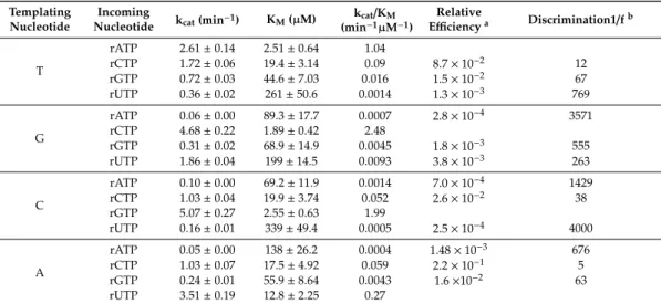 Table 2. Kinetic parameters of rNTP incorporation and misincorporation into RNA by Polη using Mn 2+